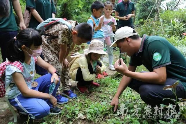 广东着力打造自然教育示范省2 广东着力打造自然教育示范省2