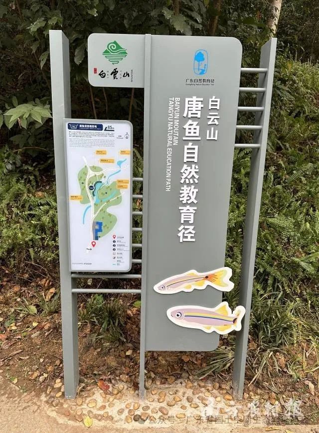 广东着力打造自然教育示范省4