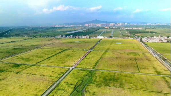 全域土地综合整治，广东全域土地综合整治