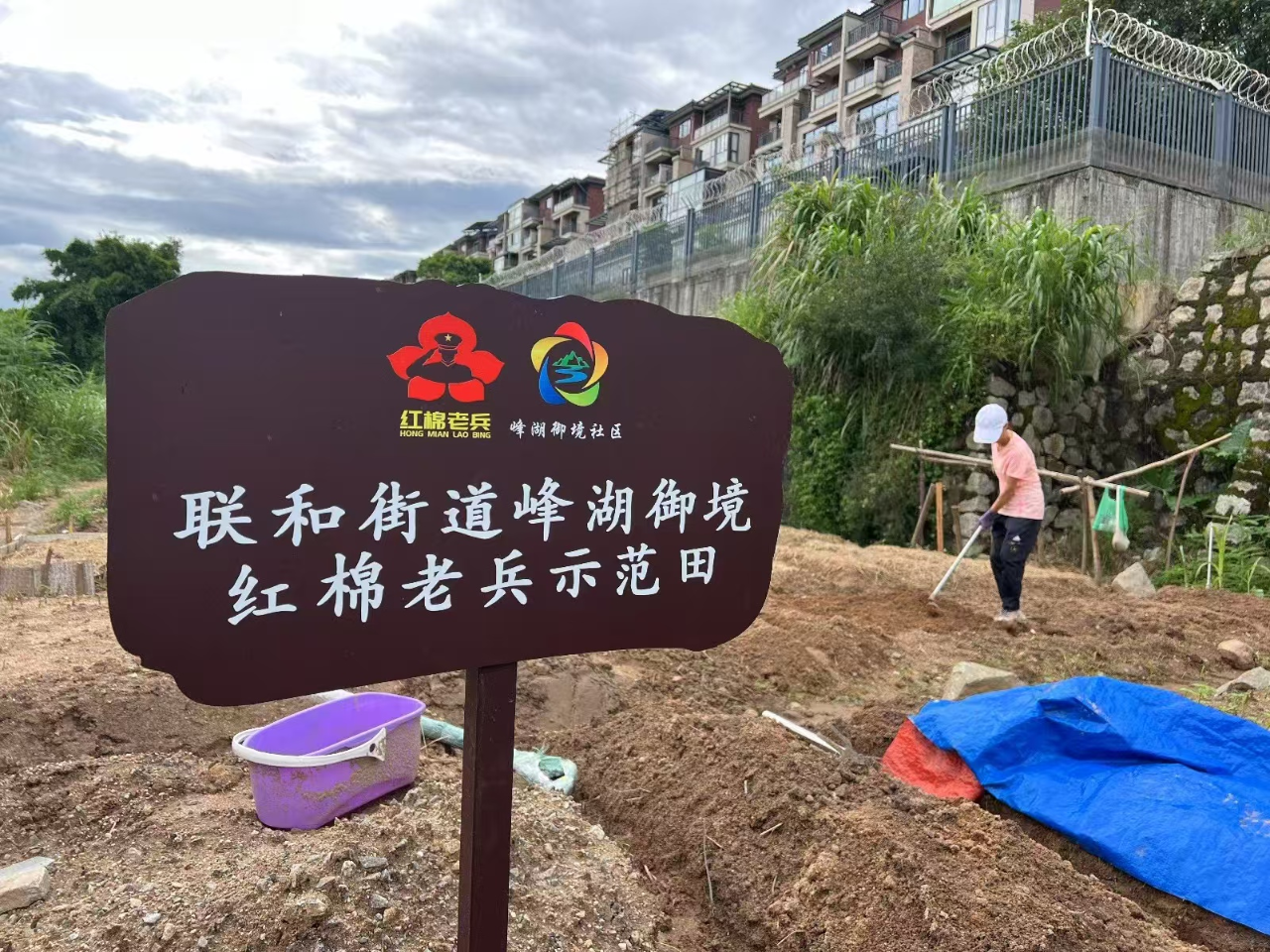 全域土地综合整治，黄埔区全域土地综合整治，耕地保护，黄埔区耕地保护1